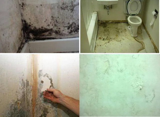 Nhà vệ sinh nấm mốc khi không sơn chống thấm