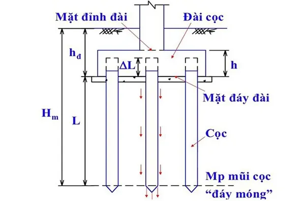 Kết cấu thi công đài móng cọc ép gồm những gì?