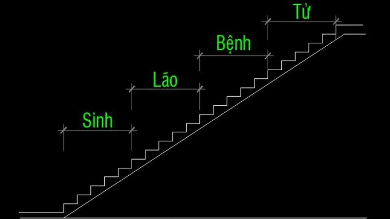 Bậc cầu thang rơi vào cung lão