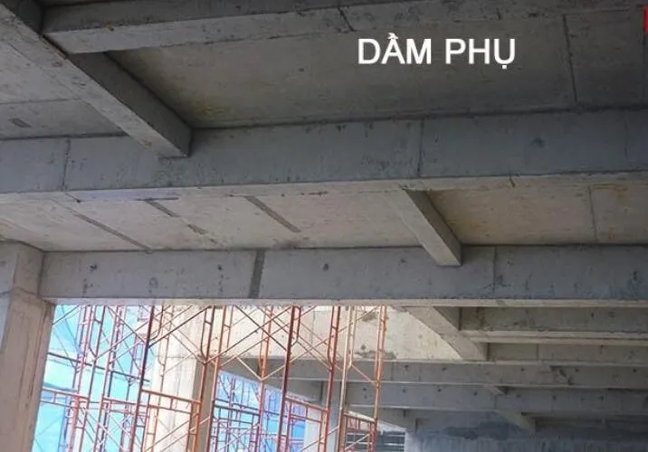 Dầm móng nhà 3 tầng phụ