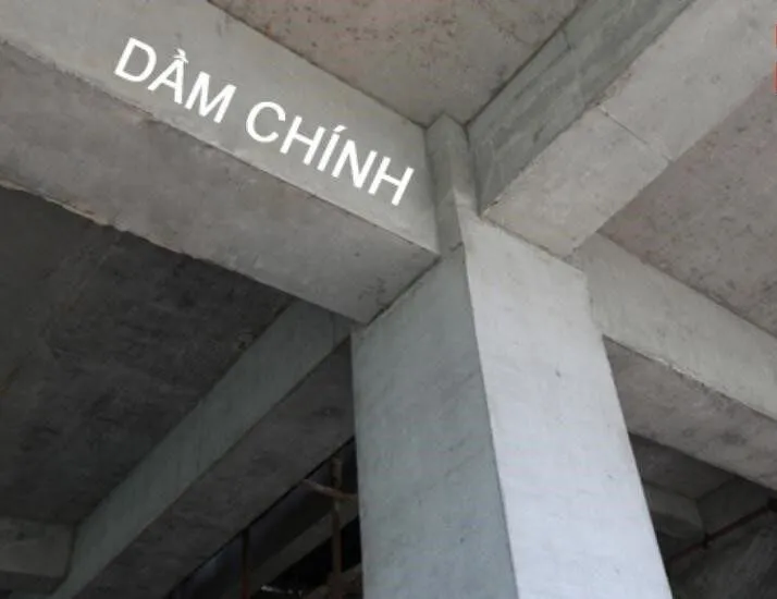 Dầm móng nhà 3 tầng chính
